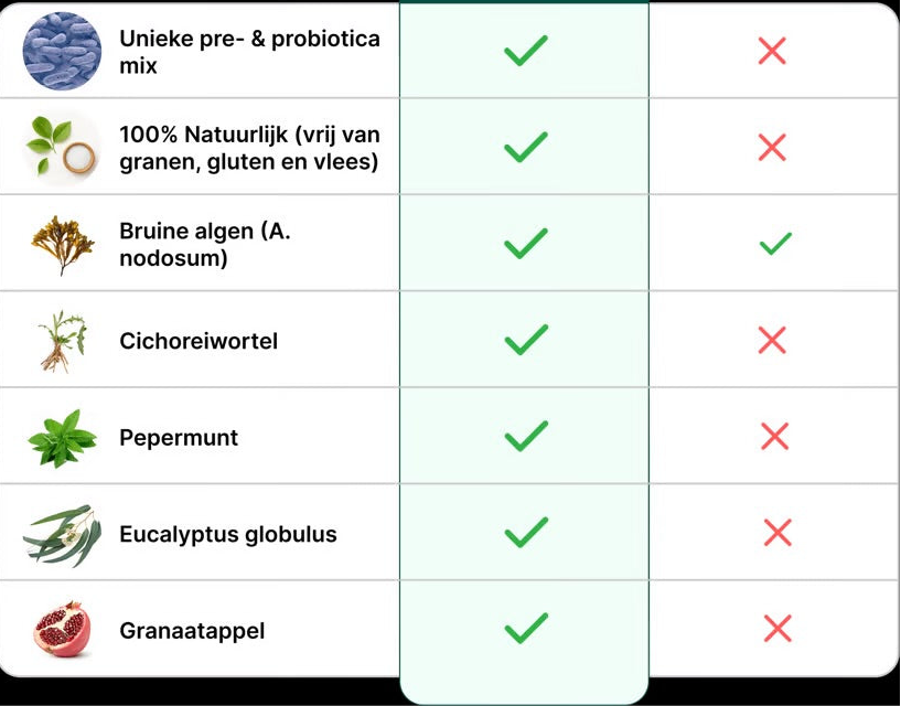 Dental Bright For Dogs