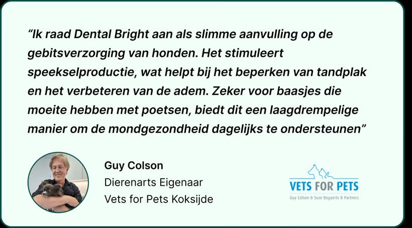 Dental Bright For Dogs